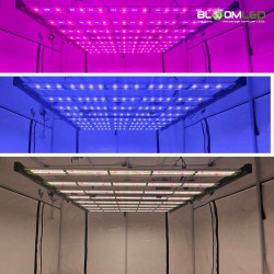 SpectraWILD L900 PRO 900W — LED Hortícola PRO | BloomLED