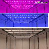SpectraWILD L900 PRO 900W LED Grow Light 150x150 | BloomLED