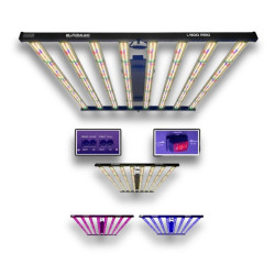 SpectraWILD L900 PRO 900W — LED-Gartenbaulampe | BloomLED