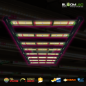 SpectraWILD M420 – Vollspektrum-LED-Pflanzenlampe – 420 W – 120 x 60 mm – Samsung