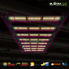 SpectraWILD S320 320W — Vollspektrum-LED 80x80 | BloomLED