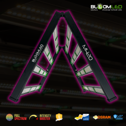 SpectraWILD S320 320W — Vollspektrum-LED 80x80 | BloomLED