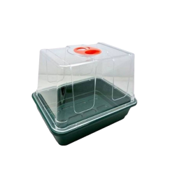Gewächshausgirlande 20 x 17 x 17 cm – ideal für Stecklinge