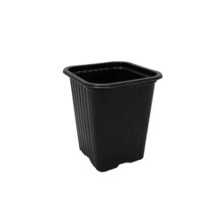 Godet Semis 7x7x8cm | Parfait pour jeunes pousses | BloomLED