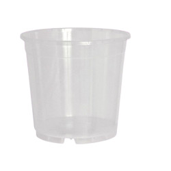 Pot transparent orchidée 17 cm | BloomLED