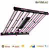 SpectraWILD M500 PRO 500W LED Pflanzenlampe | BloomLED