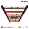 SpectraWILD M420 420W — LED para horticultura 120x60 | BloomLED