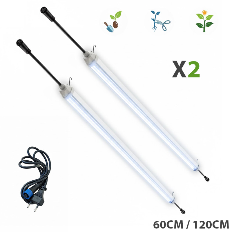 Tube LED horticole 6500K BloomLED installé au-dessus d'un plateau de semis en culture indoor