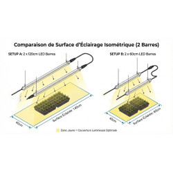 LED-Röhre für den Gartenbau, 60/120 cm, Anzucht, 6500 K | BloomLED