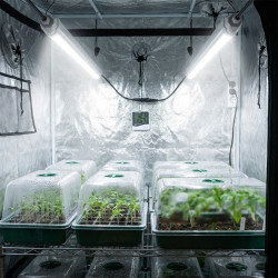 LED-Röhre für den Gartenbau, 60/120 cm, Anzucht, 6500 K | BloomLED