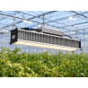 SpectraBUD X500 - LED horticole 500W IP67 | BloomLED