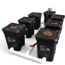 Système RDWC 6 Pots 27L – Hydroponique Indoor