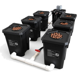 Système RDWC 6 Pots 27L – Hydroponique Indoor