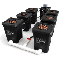 Système RDWC 6 Pots 27L – Hydroponique Indoor