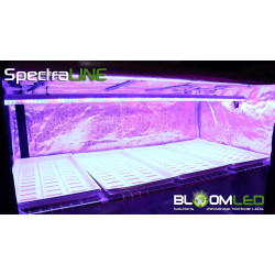 SpectraLINE 120cm 27W - Barre LED Bouturage Semis | BloomLED