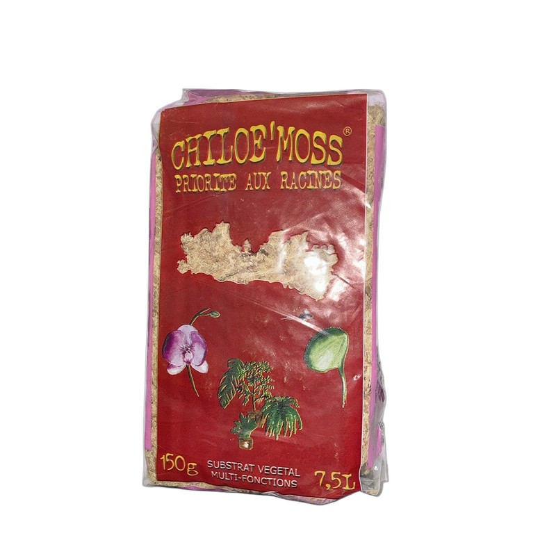 Chiloe Moss Sphaigne du Chili - Substrat Végétal - 150gr
