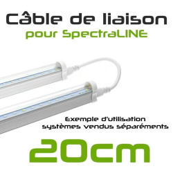 Câble de liaison SpectraLINE IP65 | BloomLED