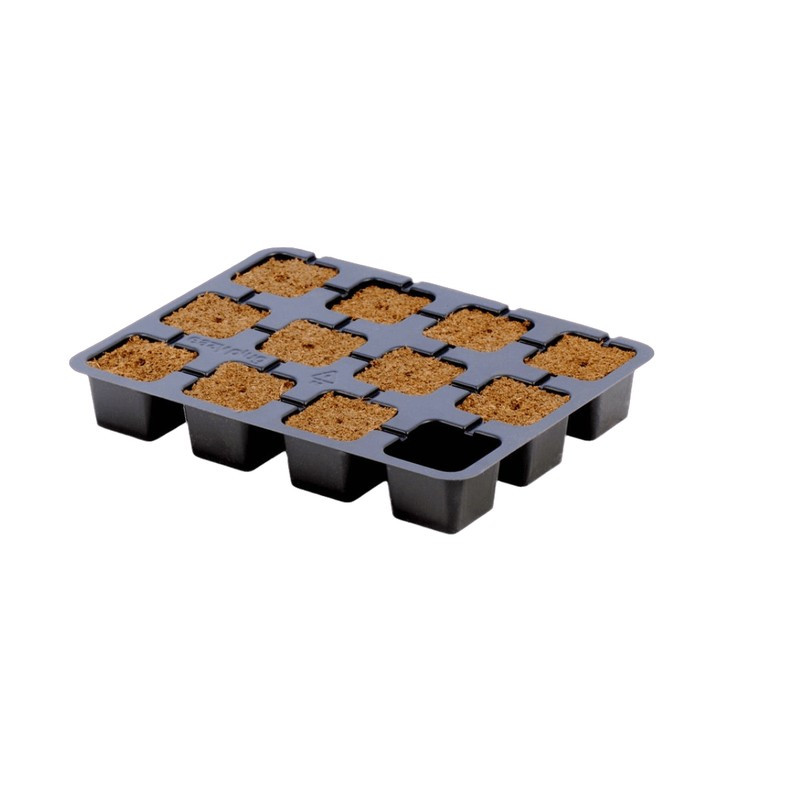 EazyPlug Vermehrungswürfel - 12 Würfel