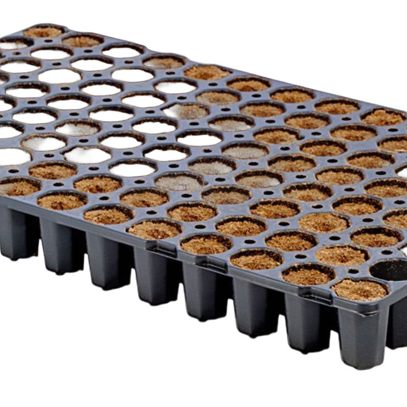 Eazy Plug Bewurzelungswürfel 3,5 cm - 104 Stück - für initiale Bewurzelung