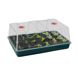 Garland Propagator ExtraLarge - 58x40x22cm