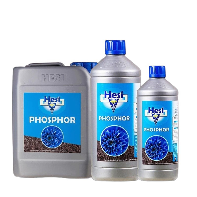 HESI PHOSPHOR Dünger - Blütenbildung Ihrer Zierpflanzen intensivieren