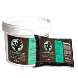 Guano Diffusion Alguamycor V2 — algues et mycorhizes pour les racines