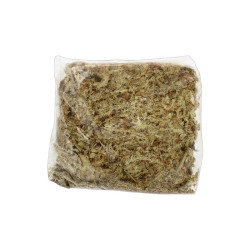 Natural Chilean Sphagnum – 100 g – Premium horticultural substrate
