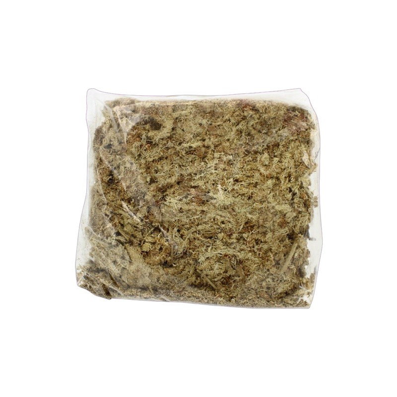 Natürliches chilenisches Sphagnum – 100 g – Premium-Gartenbausubstrat