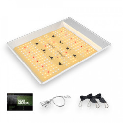 Mars Hydro TS 600 - Panel LED Hortícola Samsung