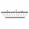 SpectraWILD L1100 PRO - 1100W de potencia para 240cm x 120cm - Iluminación hortícola XXL