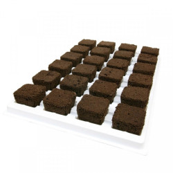 Root Riot - 24 germination and propagation cubes - GROWTH TECHNOLOGY