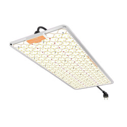 Ignator HeroLED F240W - Iluminación LED horticola