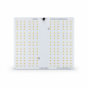 Quantum Board 100 4000K - HLG