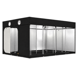 Box de culture Intense 470 - 470x300x233cm - Secret Jardin