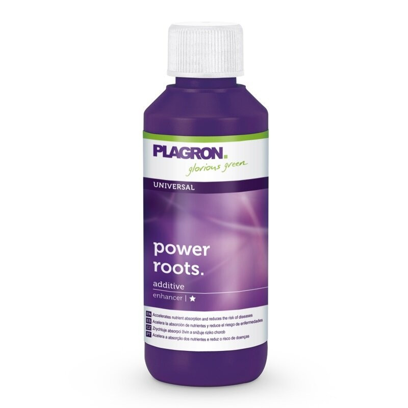 Plagron Power Roots, 100-ml-Flasche