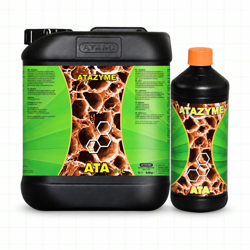 Root Stimulator - ATAZYME - ATAMI