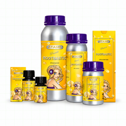 Root Stimulator - RootBastic - ATAMI