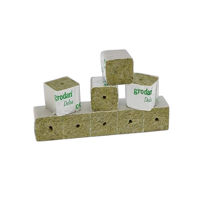 Grodan rockwool cube 40mmx40mm