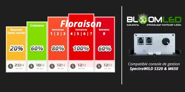 tableau_spectre_console_gestion.webp
