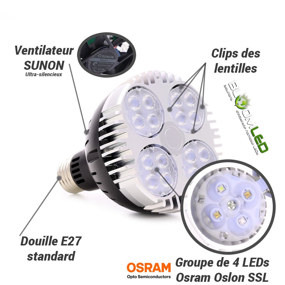 SpectraBULB X30 LED horticultural bulb flowering plants indoors