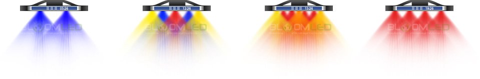 24h-Zyklus LED-Pflanzenlampe BloomLED SpectraMODULE Z200