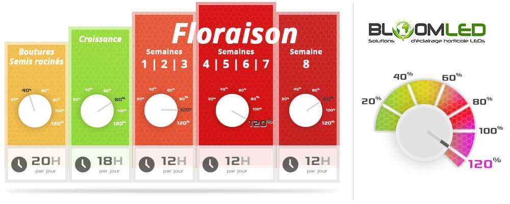 gestion-intensite-lampe-horticole-led-sp