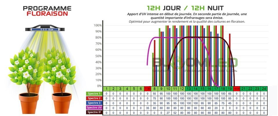 Blüteprogramm LED-Pflanzenlampe Z200 SpectraMODULE BloomLED Indoor-Anbau