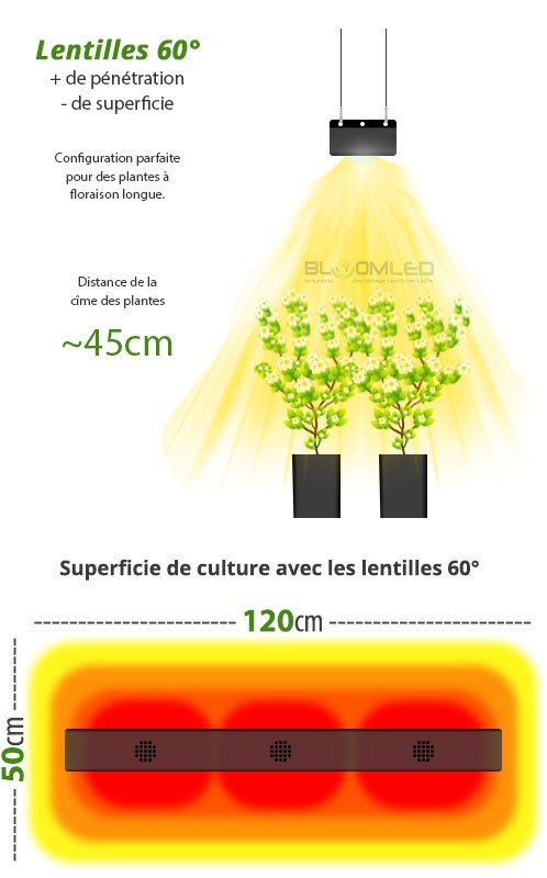 superficie de culture lampe horticole led eclairage culture plantes interieur bloomled spectrab2g