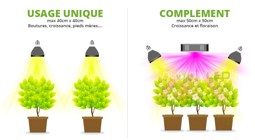 SpectraBULB X20 - Ampoule horticole blanche pour plantes vertes