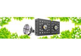 Horticultural LED for the benefit of plants
