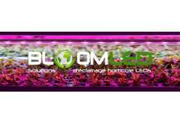 Succeed in sowing indoors with horticultural LED lighting.
