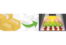 Grow room: setting up your indoor garden
