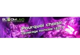 ¿Por qué elegir una lámpara hortícola LED para el cultivo de plantas en interiores?