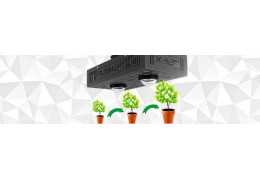 Gartenbau-Wachstumslampe: Lassen Sie Ihre Pflanzen wachsen